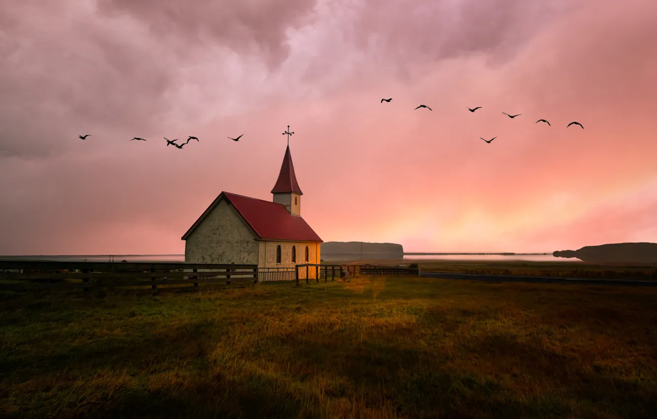 Фото обои поле, птицы, церковь