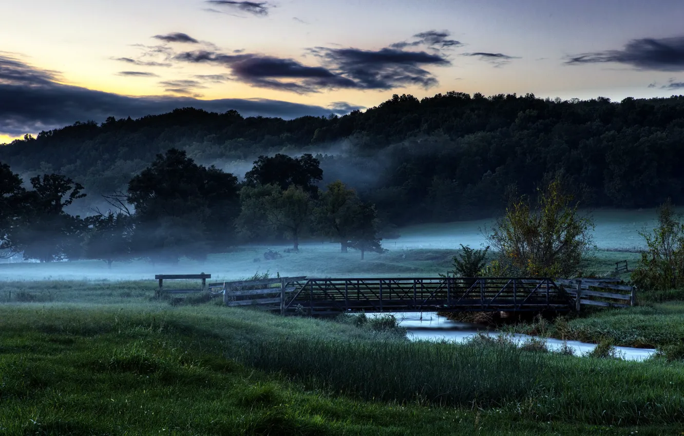 Фото обои поле, мост, туман, утро
