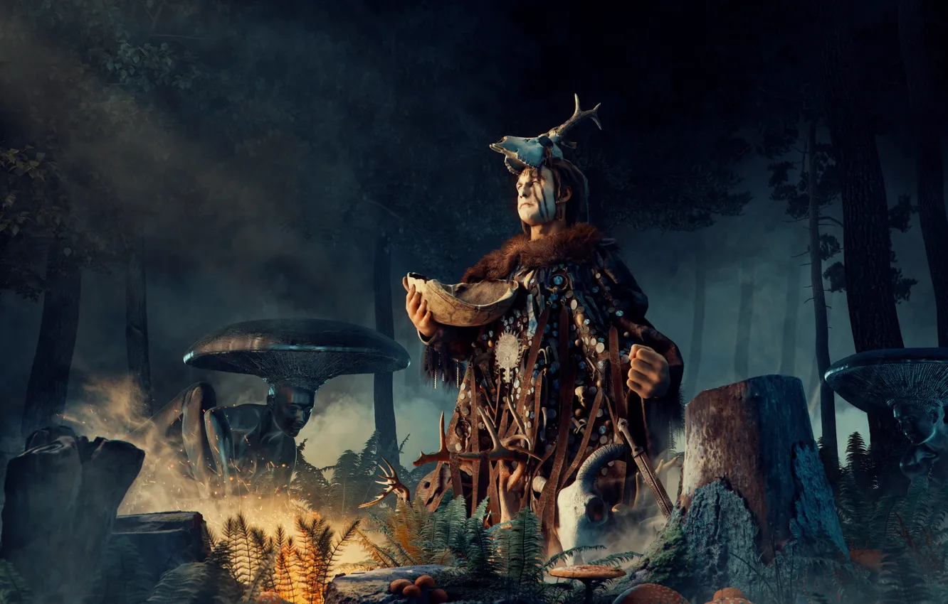 Фото обои лес, ночь, колдун, shaman, Amanita Muscaria