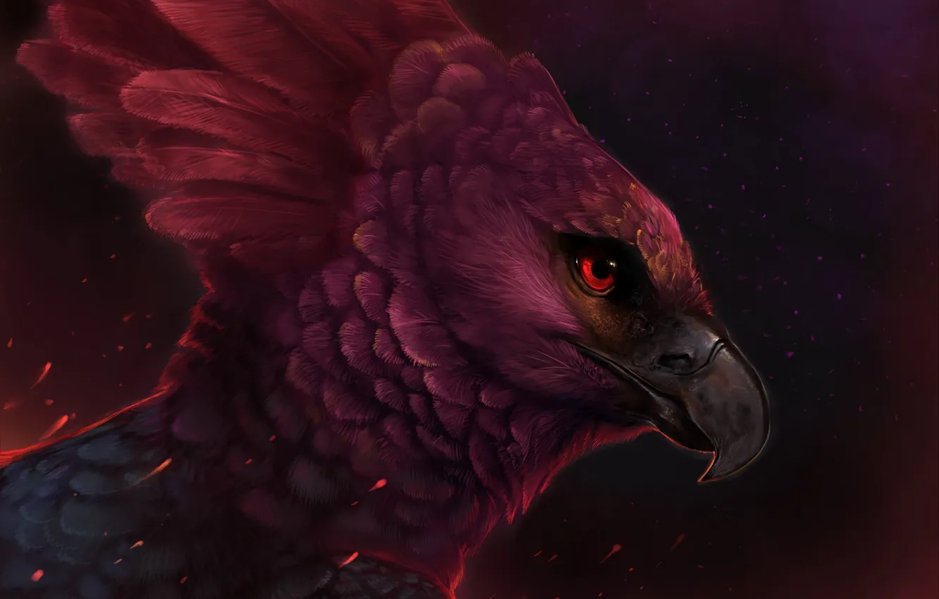 Фото обои птица, перья, клюв, арт, rajewel