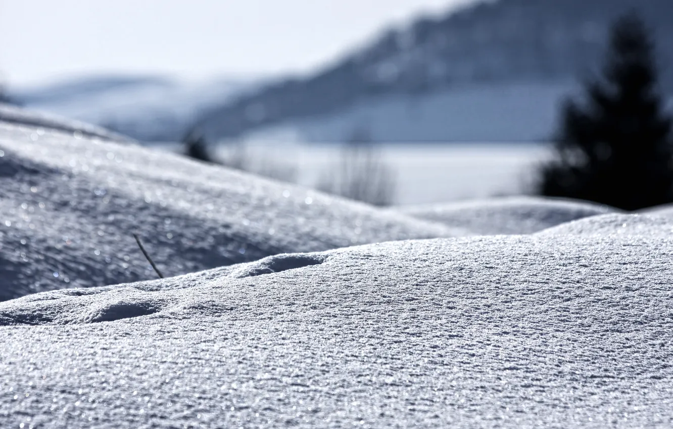 Фото обои зима, снег, пейзаж, природа