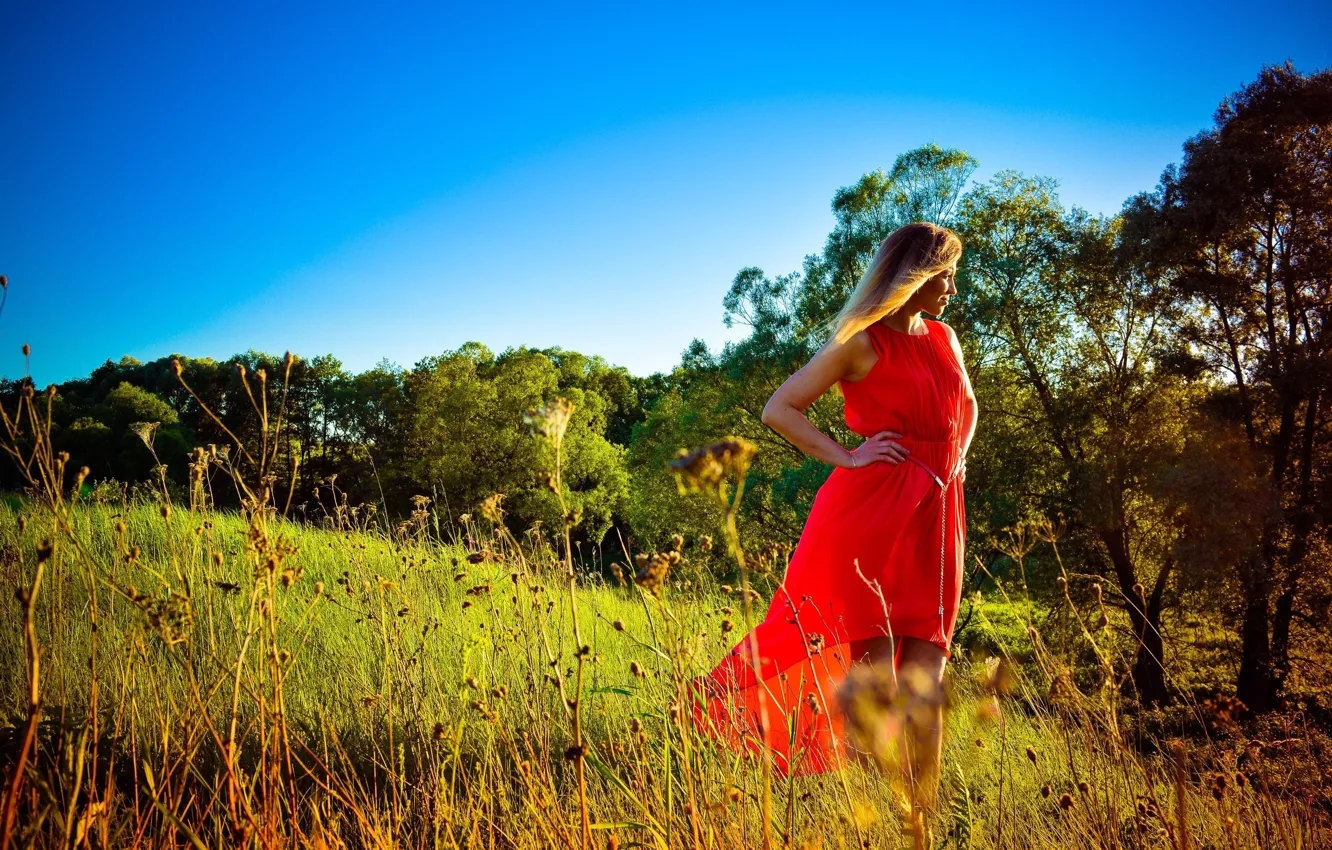 Фото обои поле, трава, девушка, деревья, платье, блондинка, girl, grass