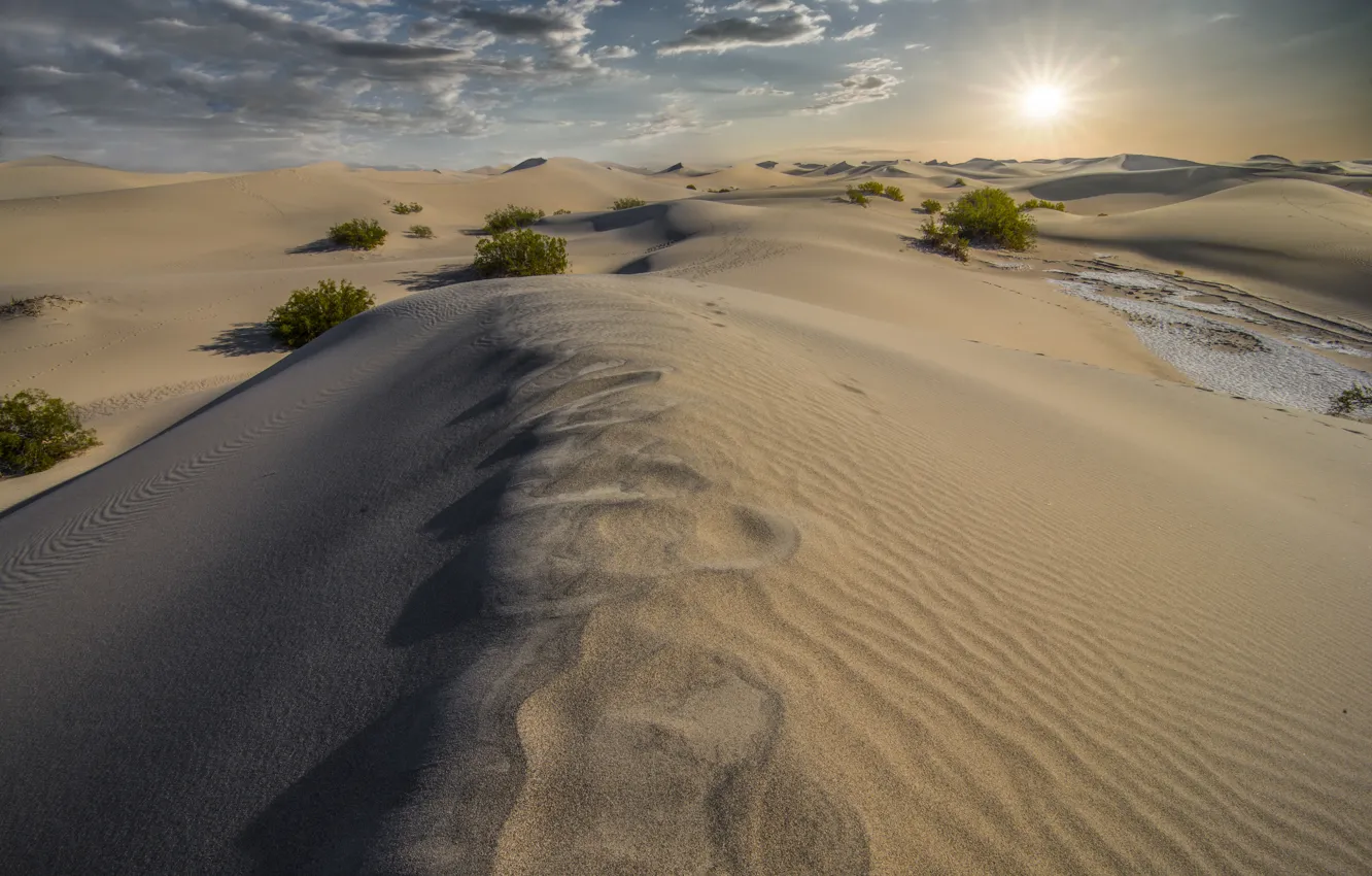 Фото обои песок, природа, пустыня, дюны, California, Death Valley, Dunes