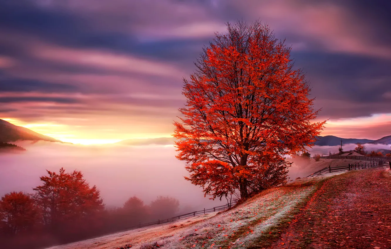 Фото обои осень, горы, туман, рассвет, Украина, Карпаты