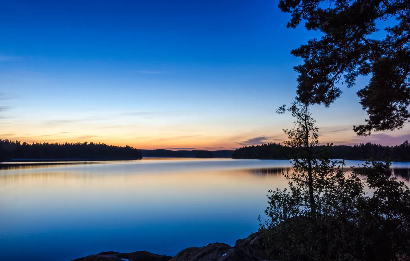 Фото обои деревья, природа, озеро, вечер, Nature, trees, lake, evening