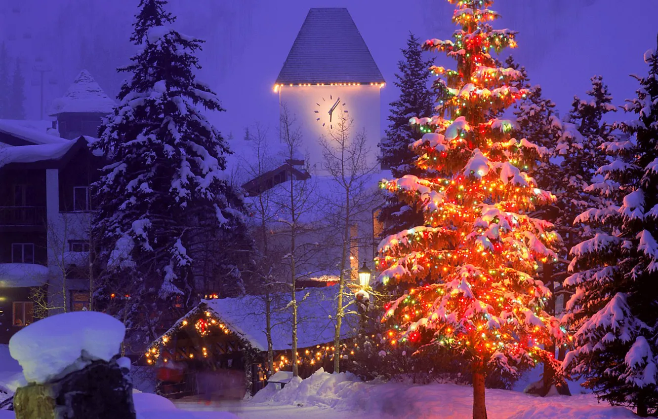 Фото обои зима, снег, город, елка, новый год