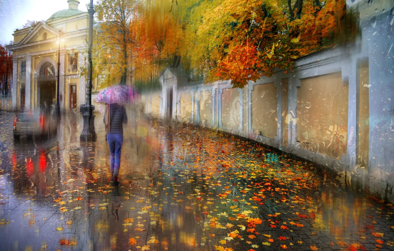 Фото обои осень, девушка, дождь, зонт, Санкт-Петербург