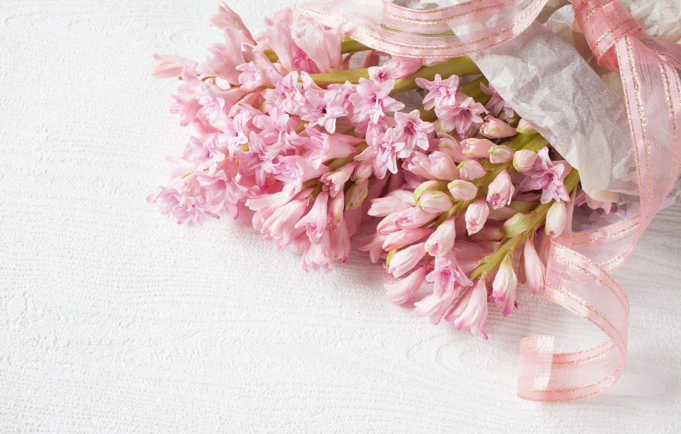 Фото обои цветы, розовый, нежность, букет, лента, hyacinth