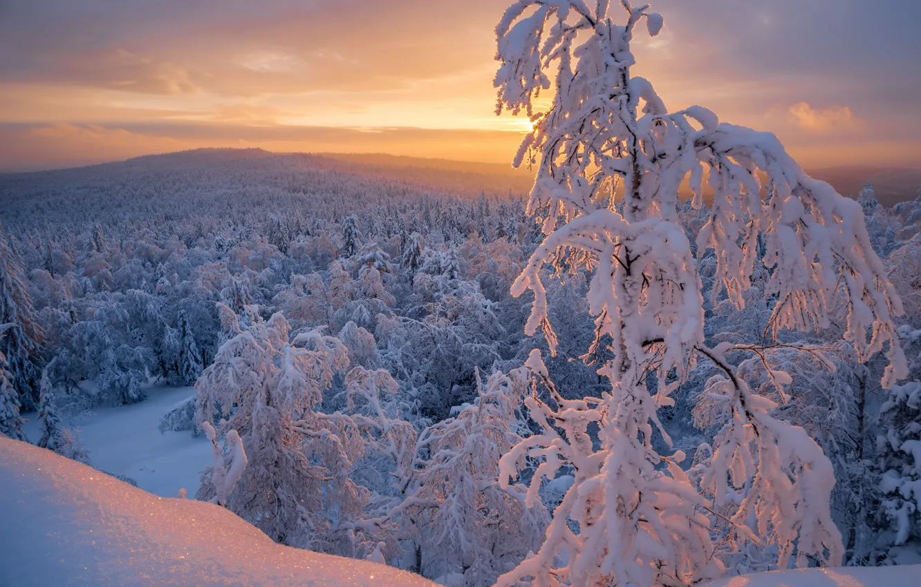 Фото обои зима, лес, снег, деревья, закат, Россия, Челябинская область, Денис Закаляпин