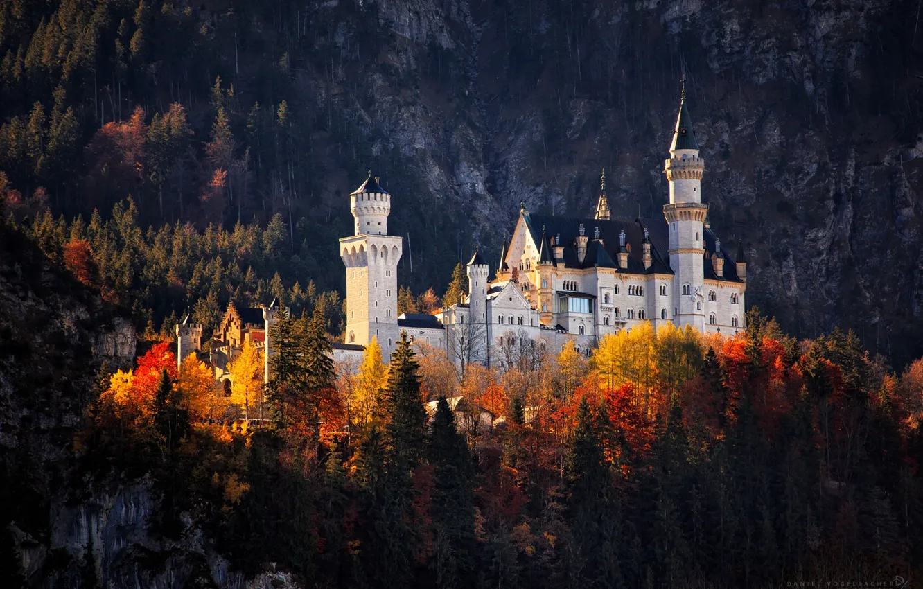 Фото обои осень, лес, замок, германия
