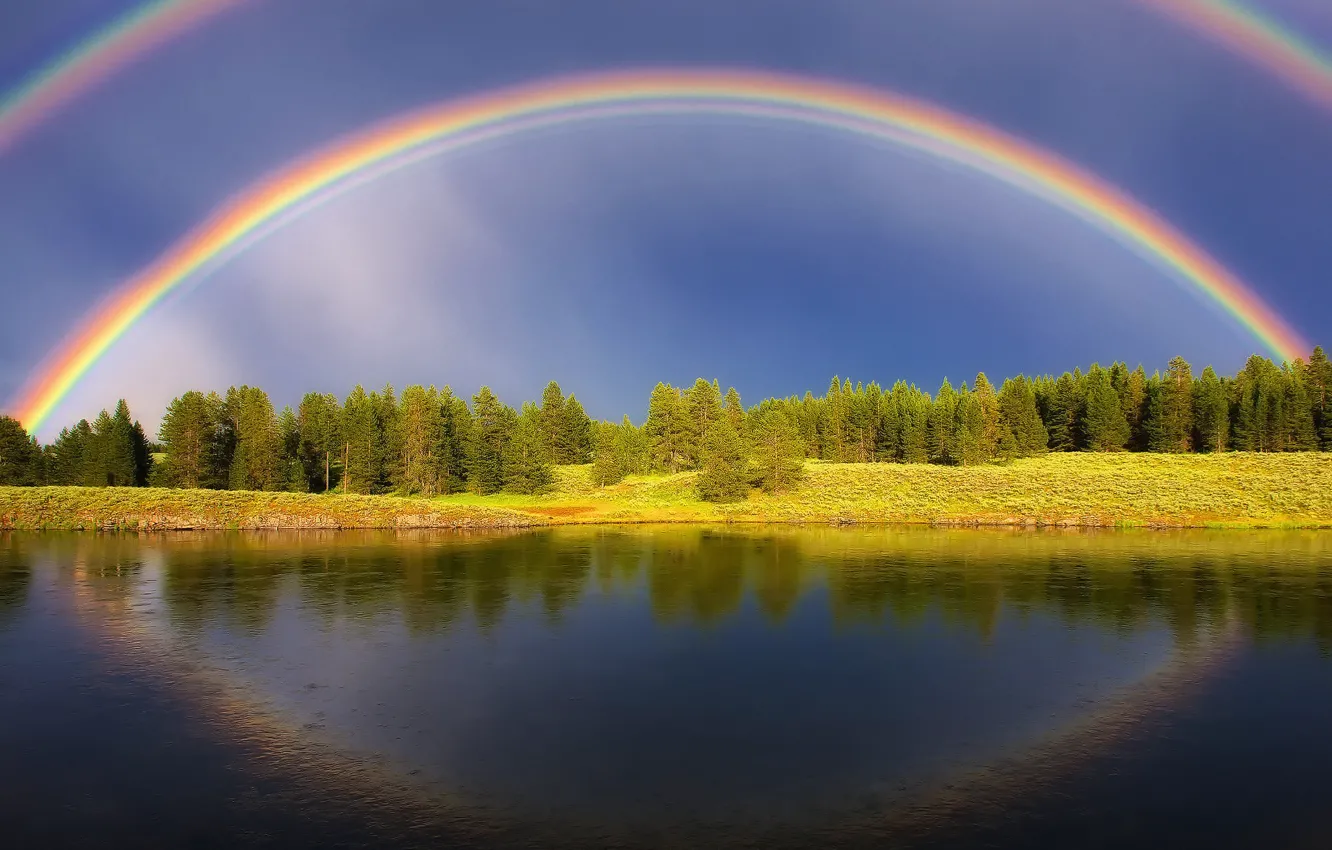 Фото обои лес, лето, небо, вода, свет, озеро, река, радуга