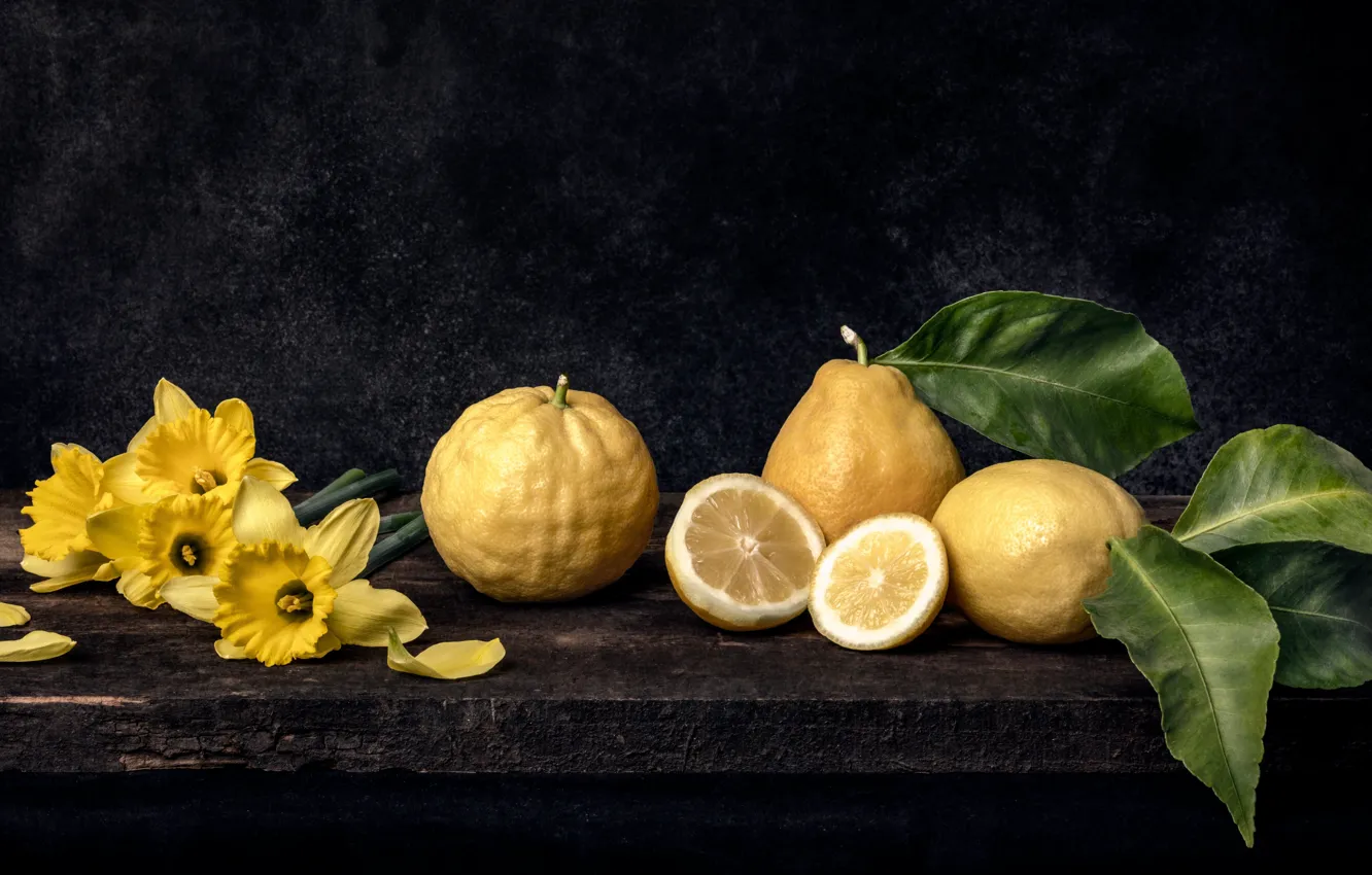 Фото обои желтый, лимон, нарциссы