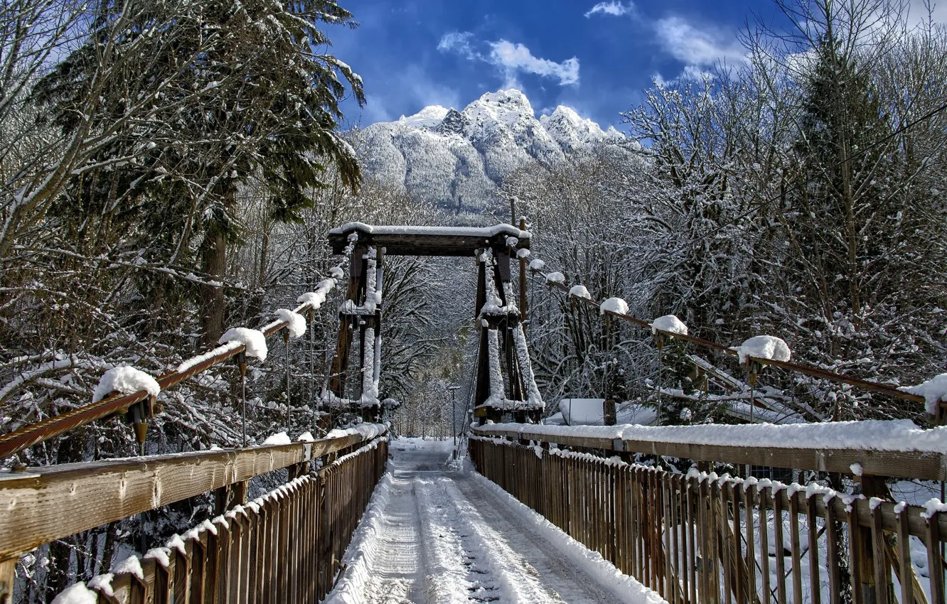 Фото обои зима, снег, пейзаж, мост, природа, красота