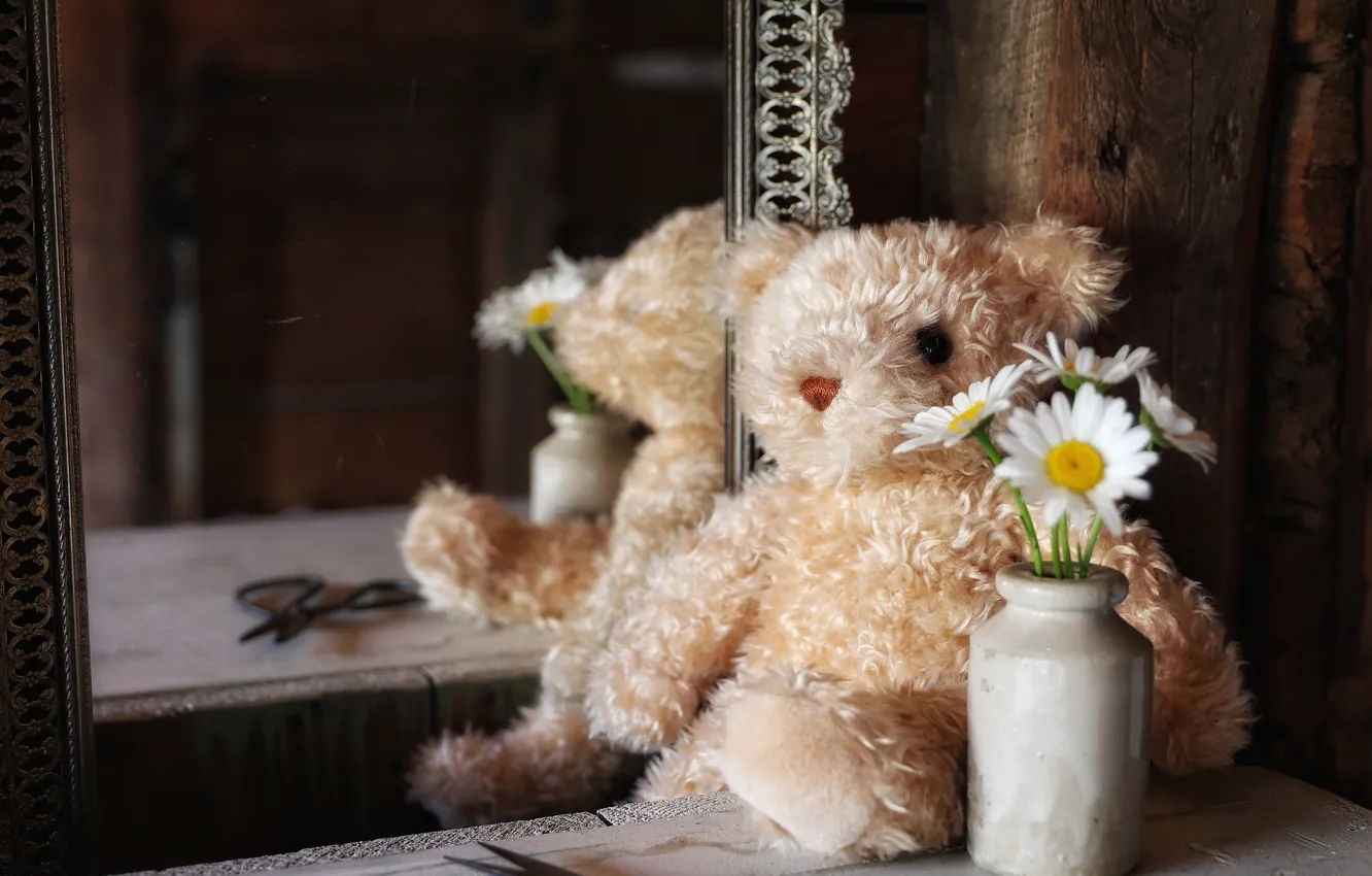 Фото обои цветы, отражение, игрушка, ромашки, зеркало, медведь, плюшевый мишка