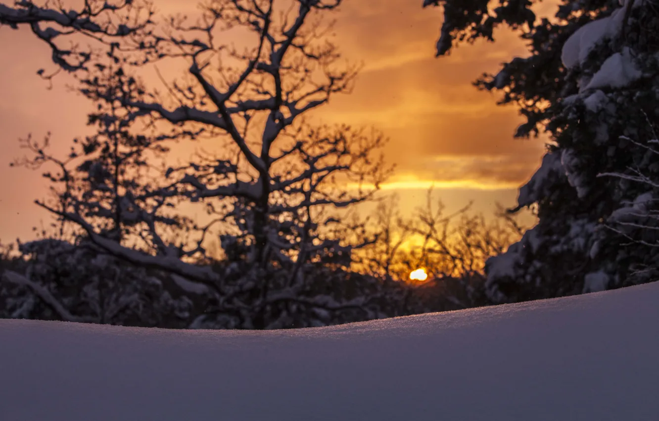 Фото обои sunset, winter, snow