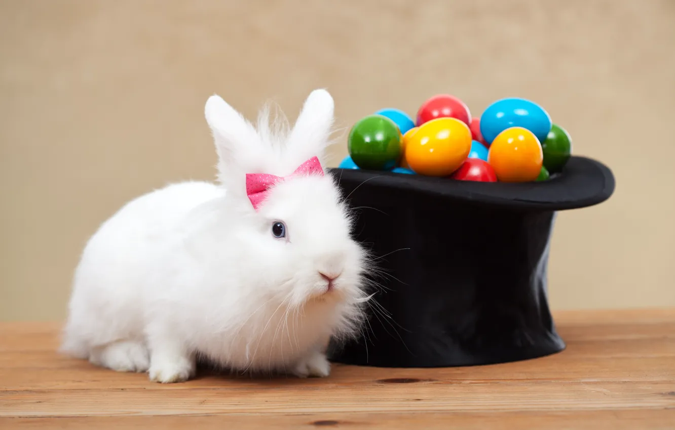 Фото обои белый, праздник, яйца, шляпа, colorful, кролик, Пасха, holidays