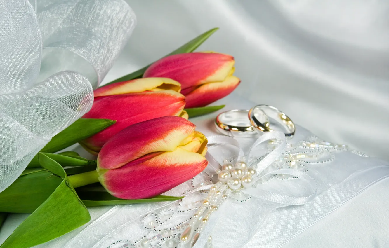 Фото обои украшения, кольца, тюльпаны, ленточки