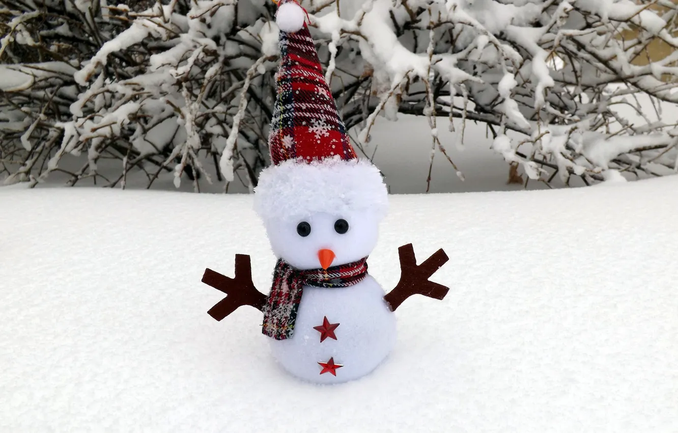 Фото обои зима, снег, ветки, природа, игрушка, куст, Рождество, Новый год
