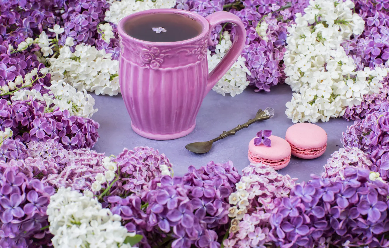 Фото обои цветы, ветки, flowers, сирень, cup, spring, purple, tea