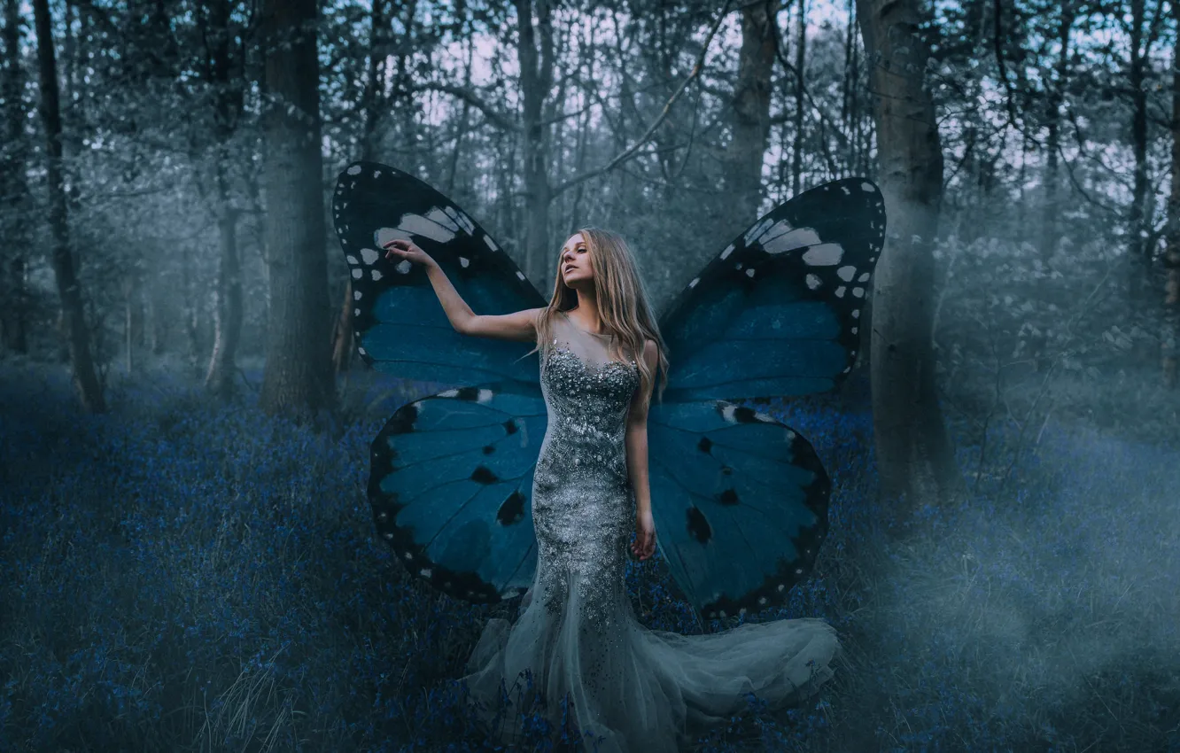 Фото обои лес, девушка, настроение, бабочка, платье, крылышки