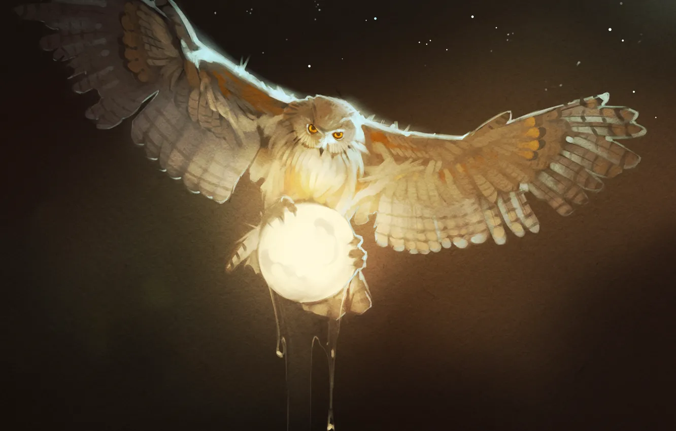 Фото обои сова, птица, moon, Owl