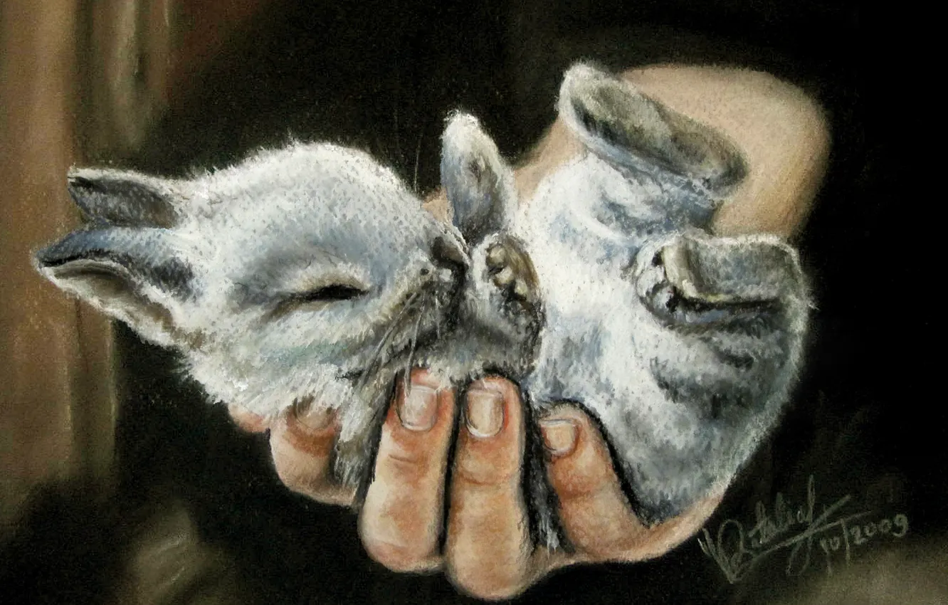 Фото обои человек, рука, лапки, маленький, живопись, ушки, крольчонок