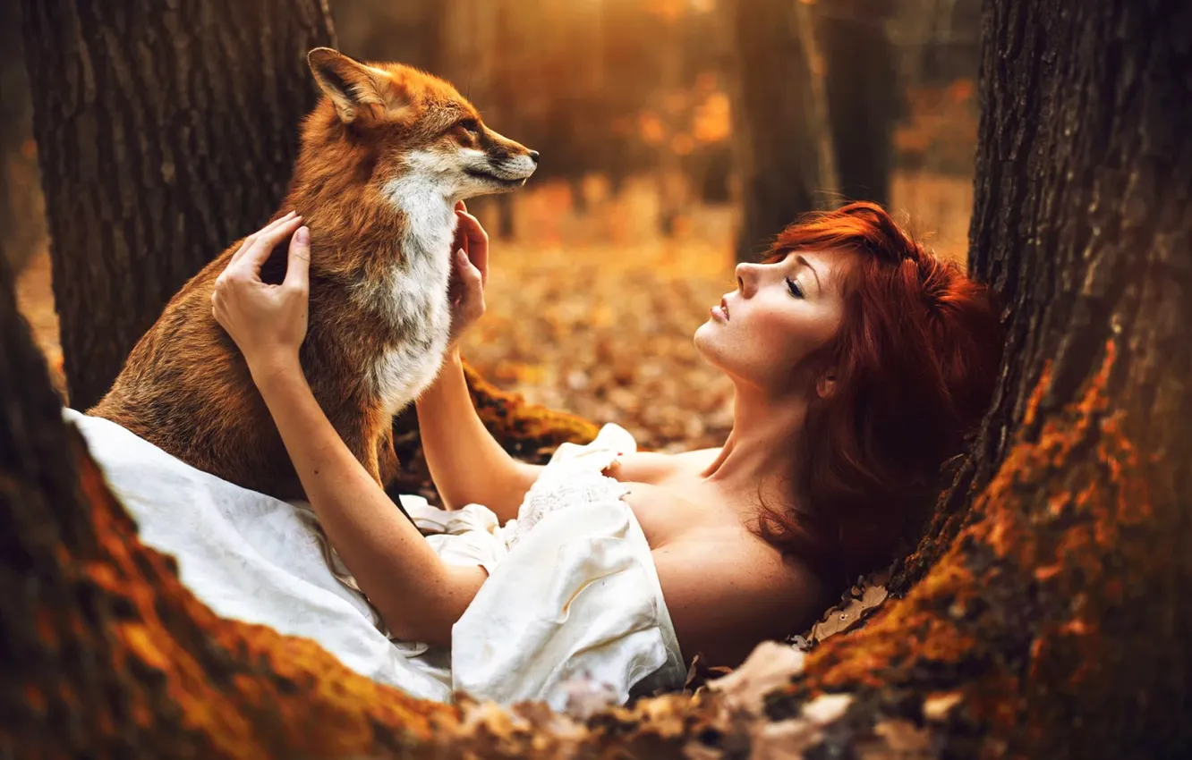 Фото обои Fox, white, dress, Autumn, autumn, tree, Woman, sitting