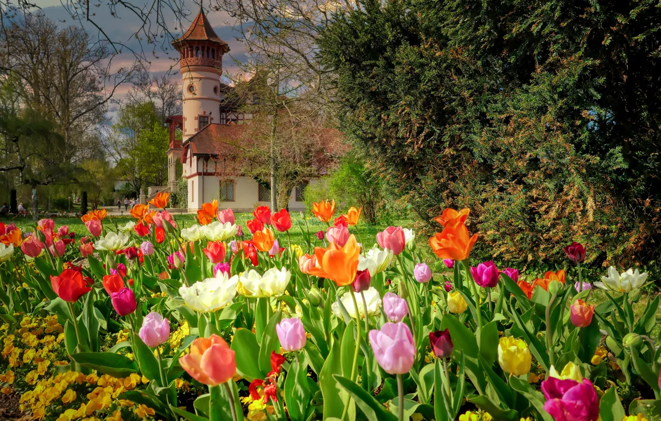 Фото обои пейзаж, цветы, природа, парк, замок, здание, тюльпаны