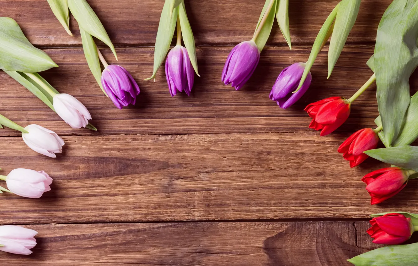 Фото обои цветы, тюльпаны, бутоны, flowers, tulips, деревянный фон, buds, wooden background
