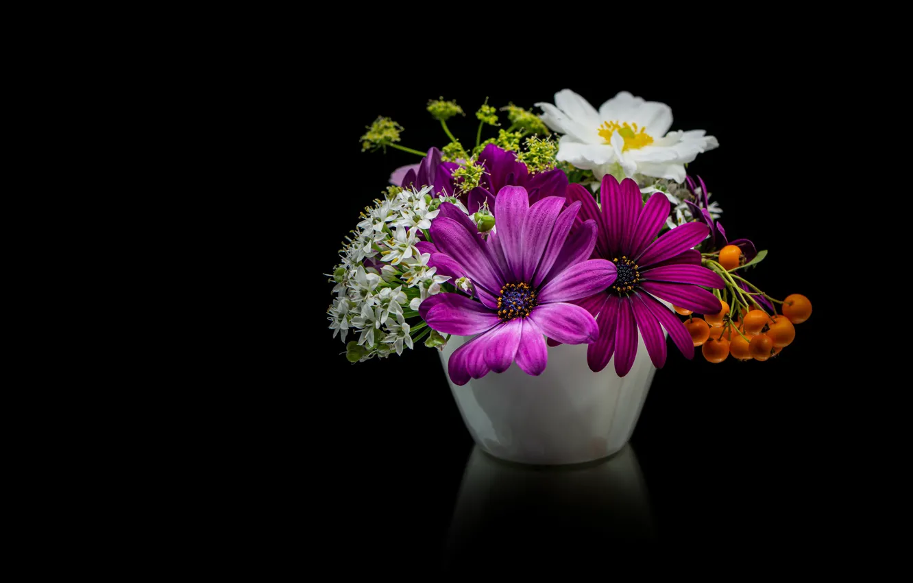 Фото обои цветы, ягоды, букет, белые, черный фон, рябина, анемона, сиреневые