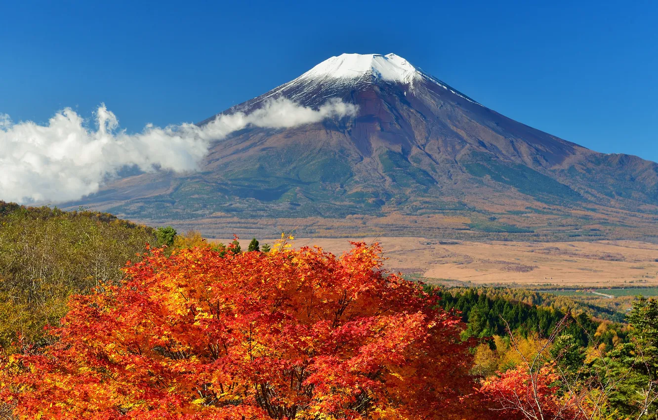 Фото обои осень, небо, листья, деревья, Япония, гора Фудзияма