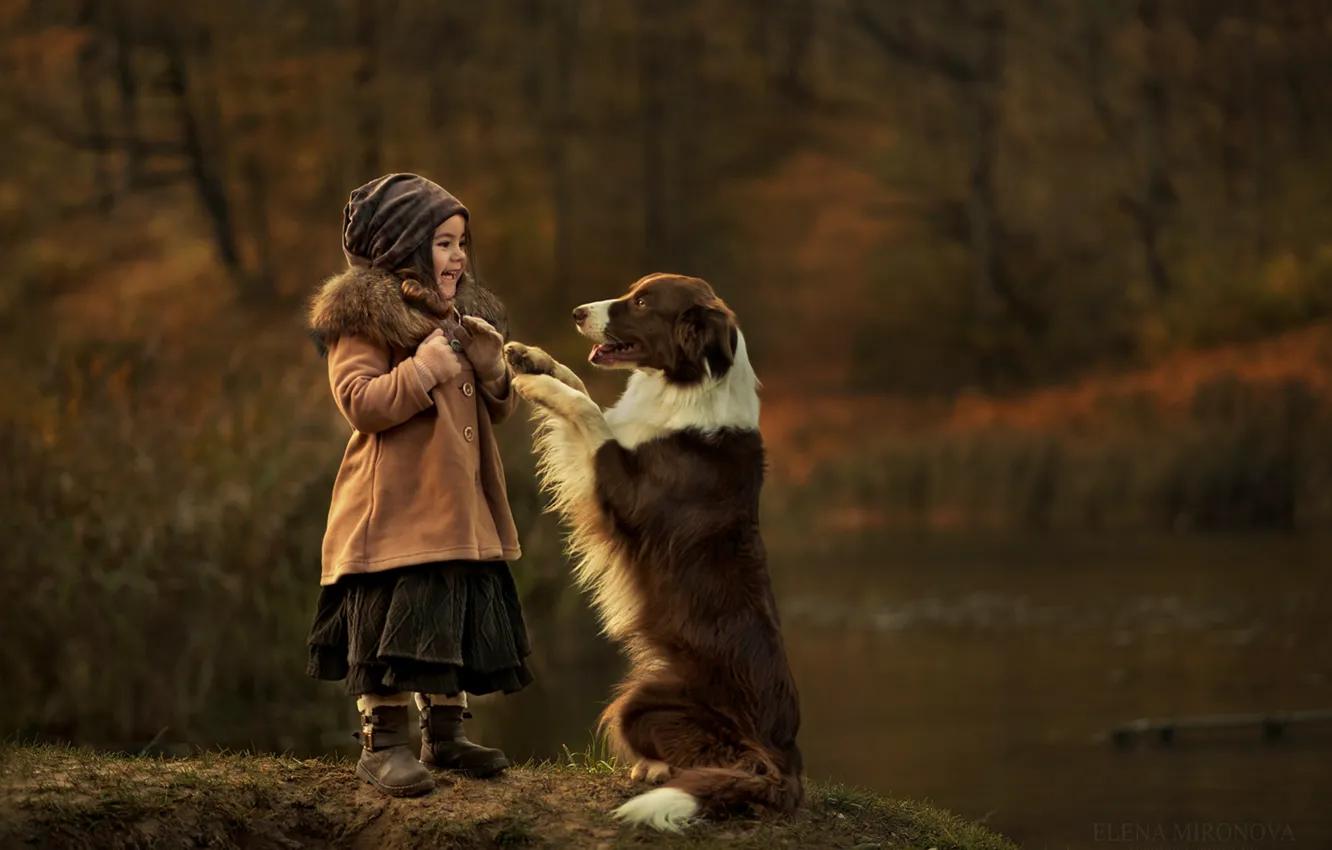 Фото обои радость, удивление, собака, девочка