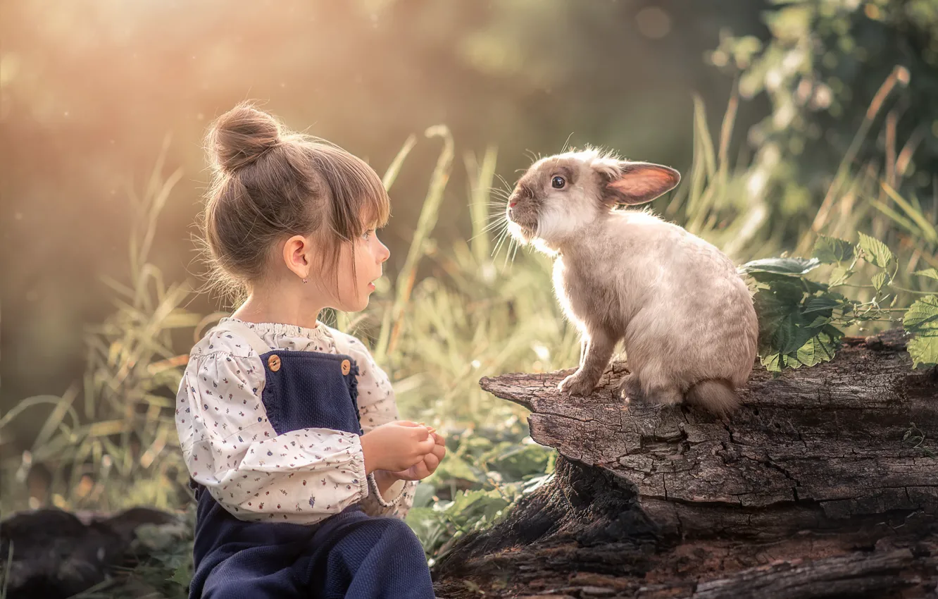 Фото обои кролик, девочка, Марта Козел