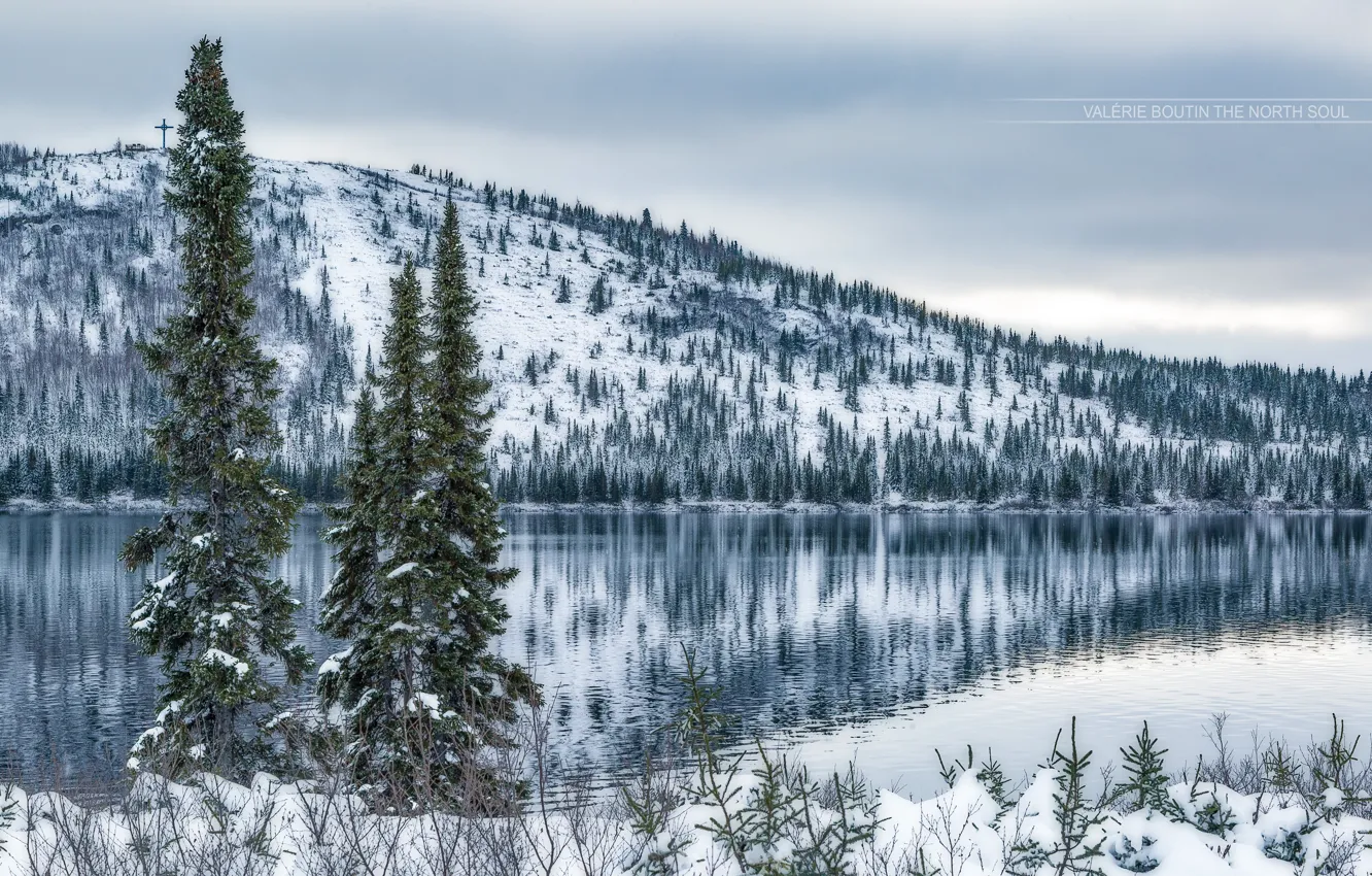 Фото обои зима, снег, озеро, дерево, гора