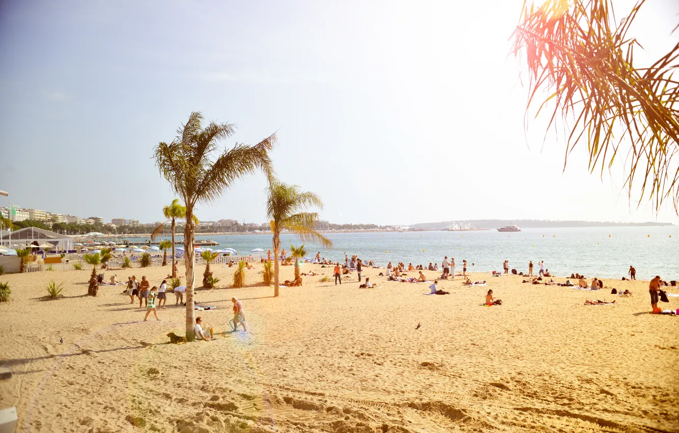 Фото обои песок, пляж, солнце, пальмы, люди, Европа, Beach, Sunny