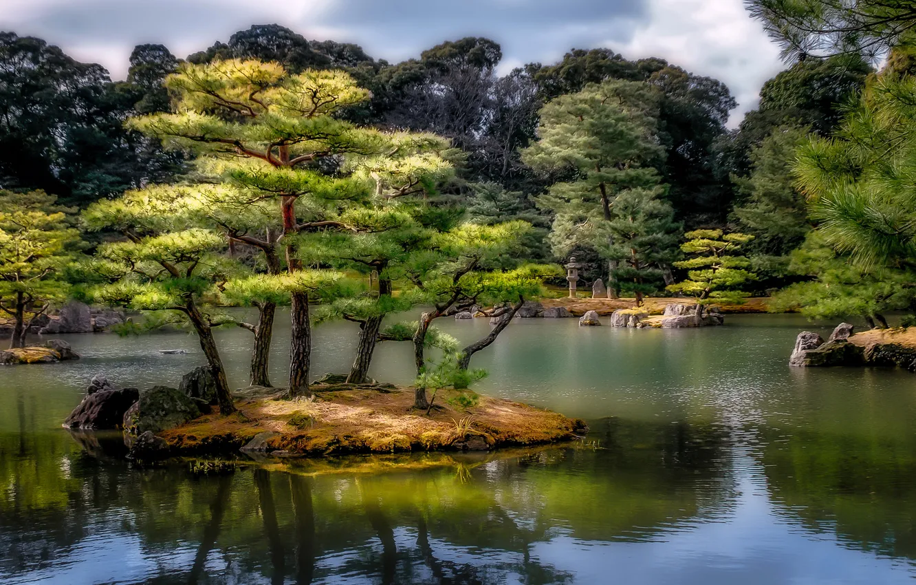 Фото обои деревья, пруд, камни, обработка, Япония, сад, островок, Kyoto