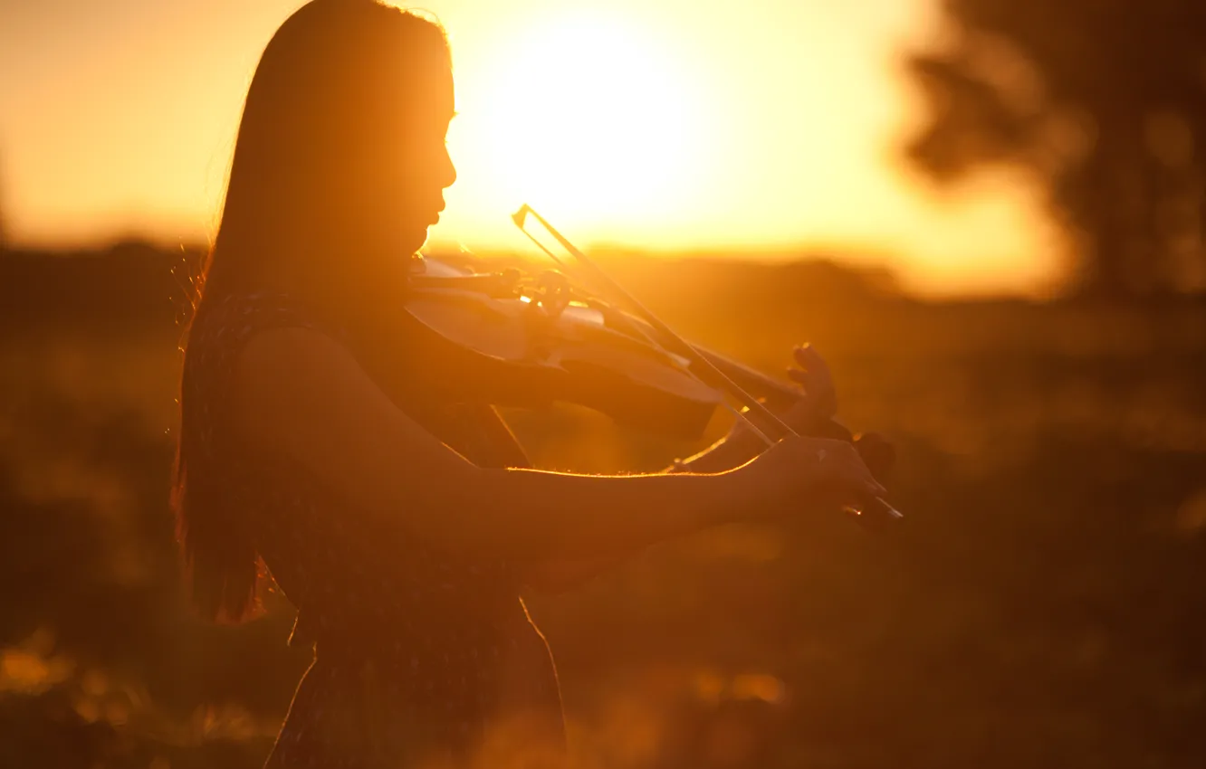 Фото обои девушка, закат, скрипка, профиль, музыкальный инструмент