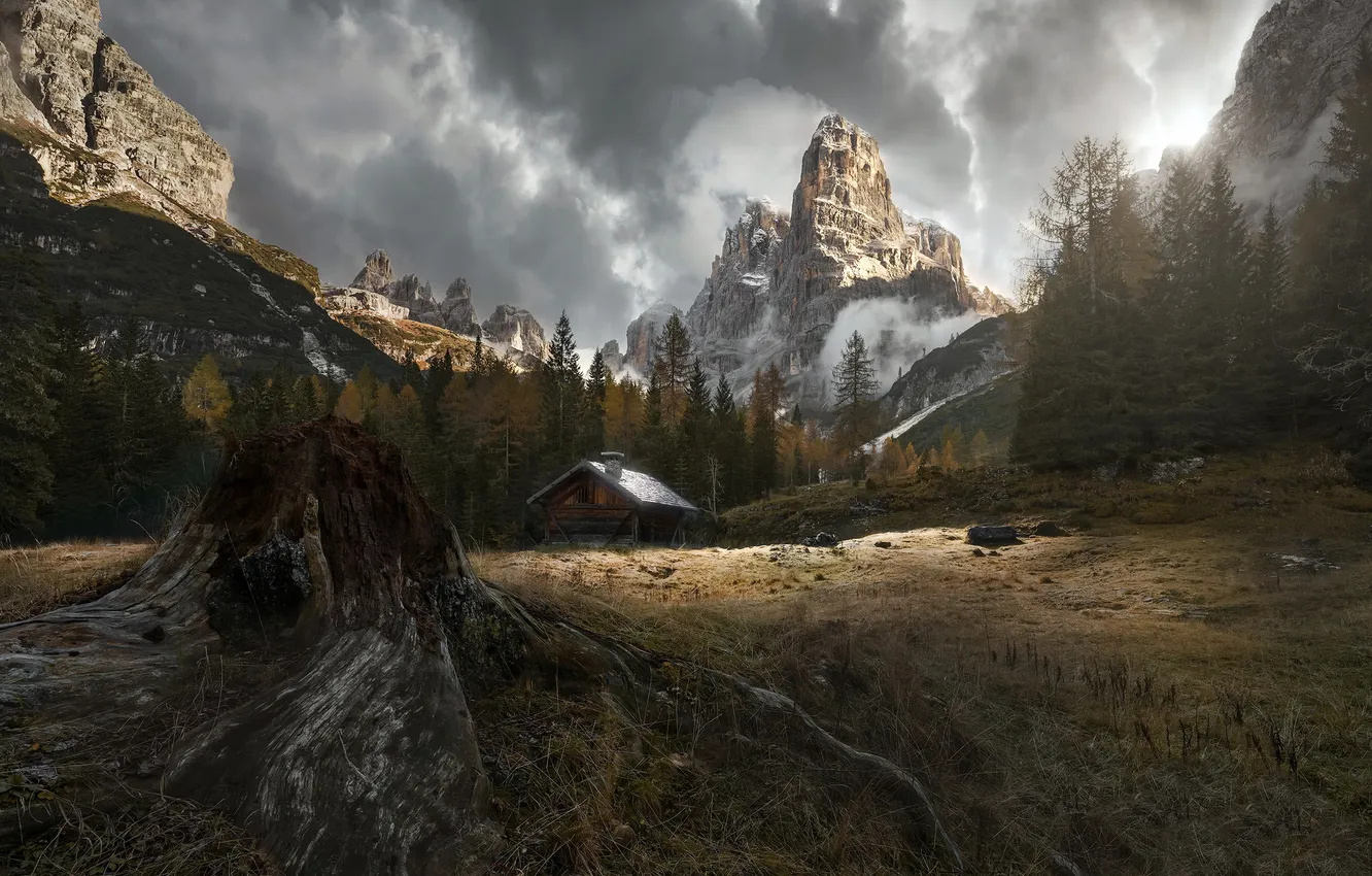 Фото обои горы, пень, дома