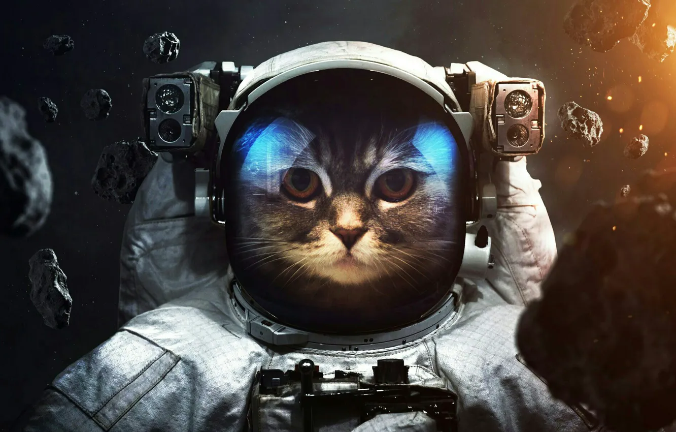 Фото обои кот, космос, космонавт, астероид, костюм