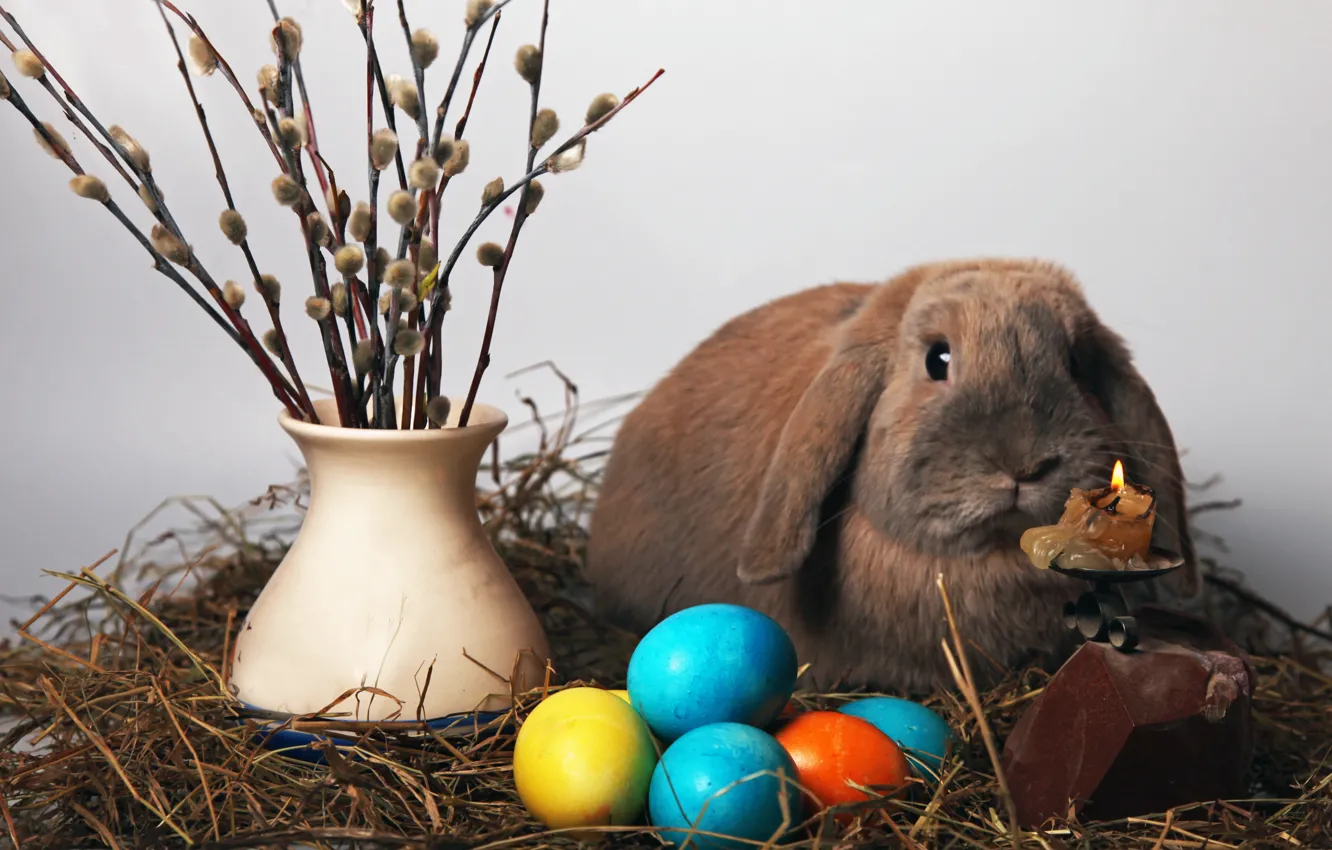 Фото обои яйцо, свеча, кролик, пасха, ваза, верба, easter