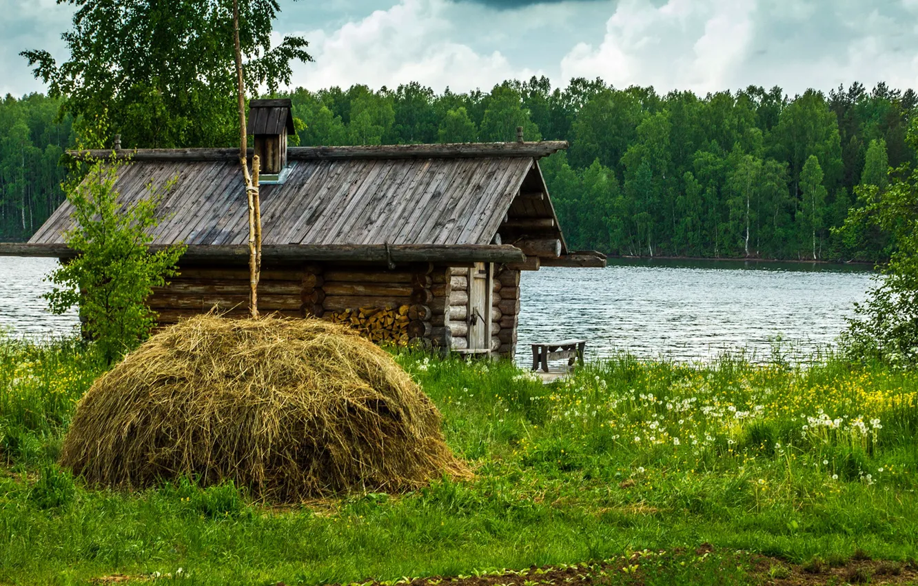 Фото обои зелень, лес, лето, трава, деревья, озеро, дом, берег