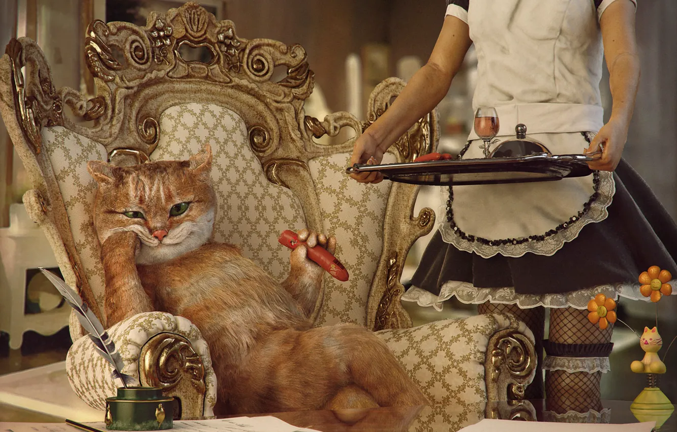 Фото обои кот, девушка, ситуация, кресло, обед, сосиска, прислуга