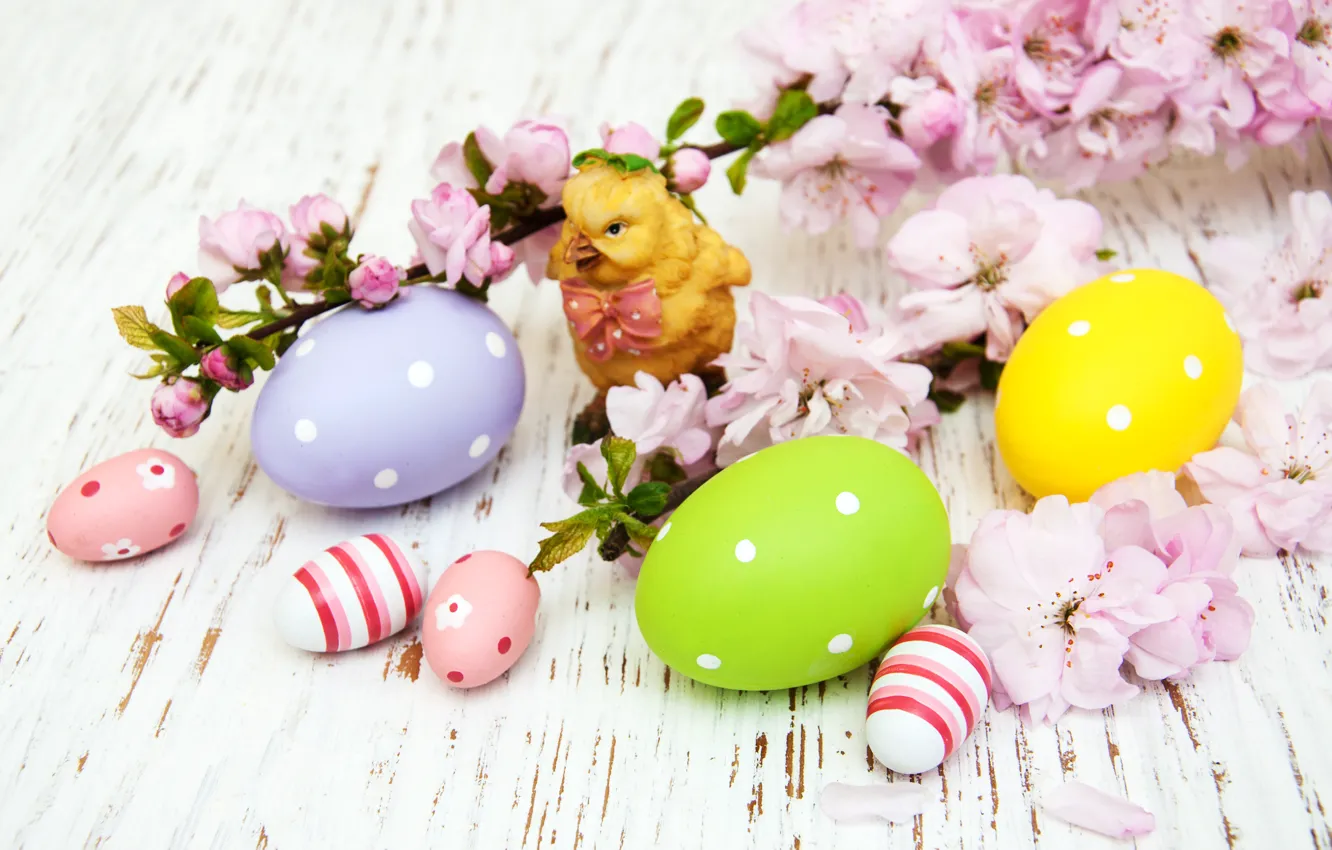 Фото обои цветы, яйца, весна, colorful, Пасха, wood, pink, blossom