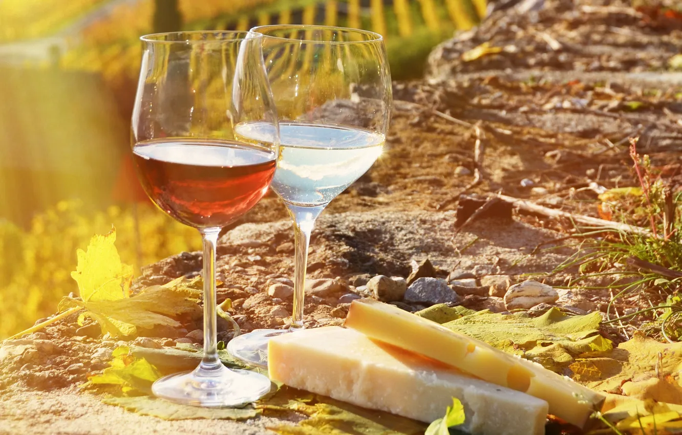 Фото обои вино, сыр, винградники