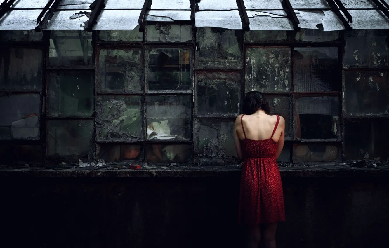 Фото обои девушка, окна, платье, стёкла, Destruction