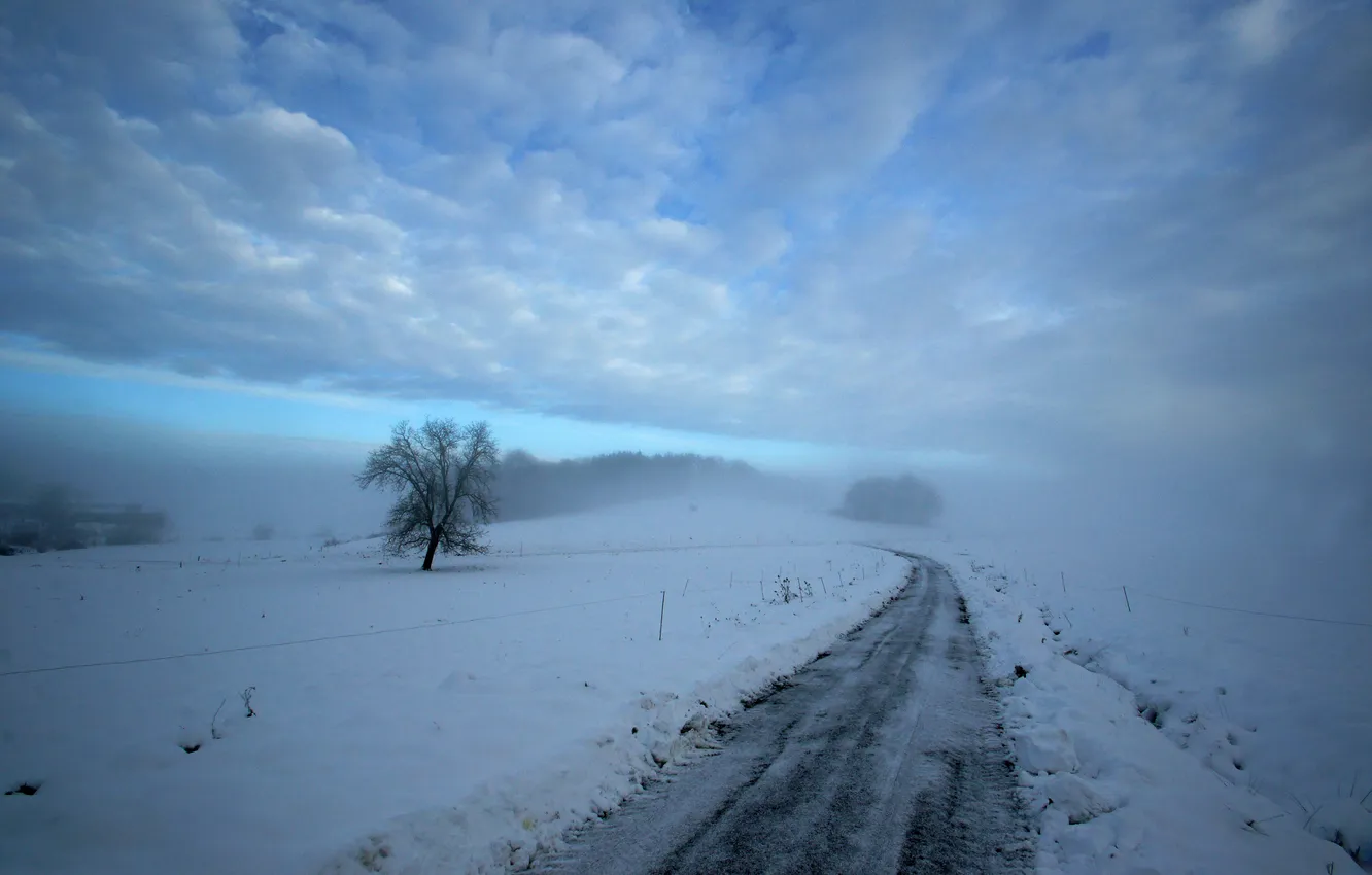 Фото обои зима, дорога, снег, дерево