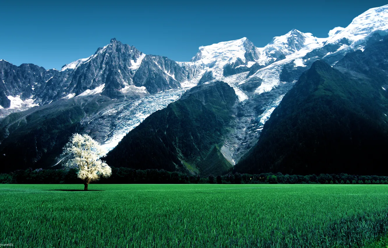 Фото обои зелень, поле, трава, горы, дерево, скалы, ледник, Альпы