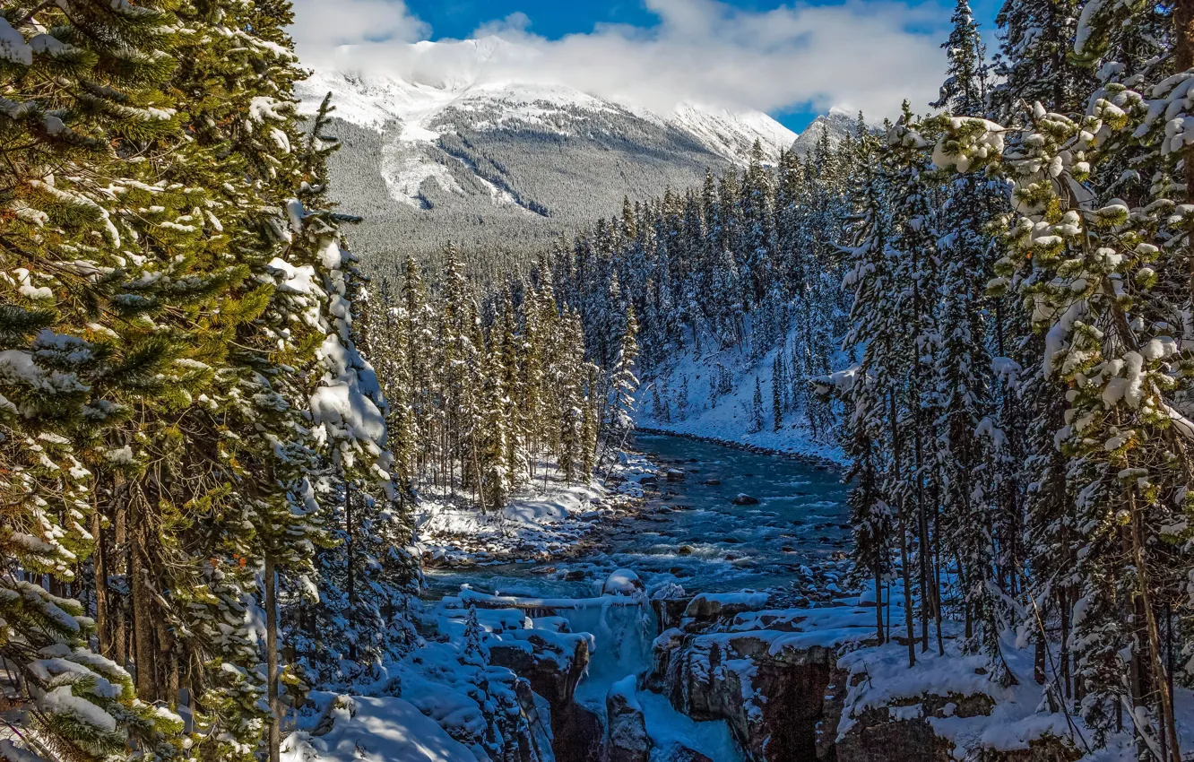 Фото обои зима, лес, снег, горы, река, Канада, Альберта, Alberta