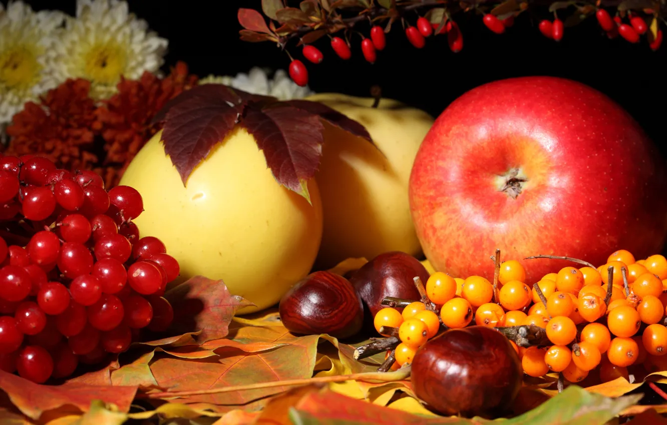Фото обои ягоды, листва, яблоки, фрукты, натюрморт, still life, fruits, berries