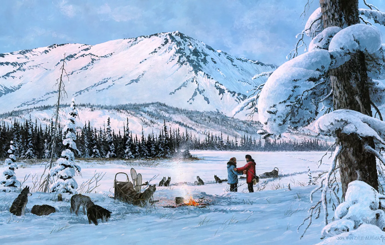 Фото обои зима, лес, собаки, снег, горы, ветки, природа, поза
